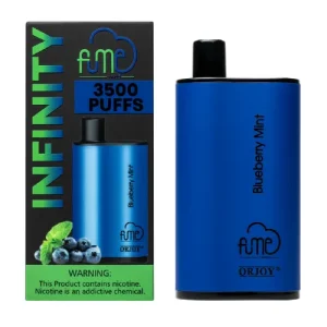 Blueberry Mint Disposable Vape (3500 Puffs) by Fume Infinity - Ejuice Store