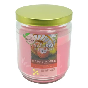 Deodorizer Candle - 4.5in