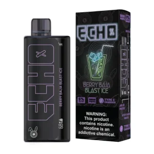 ECHO Berry Baja Blast Ice Disposable Vape | 8000 Puffs