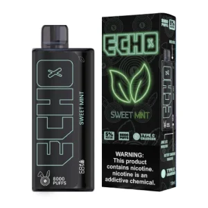 ECHO Sweet Mint Disposable Vape 8000 Puffs | Best Menthol 2024