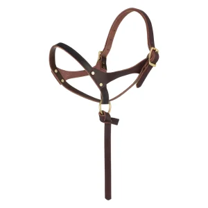 Figure 8 Foal Halter