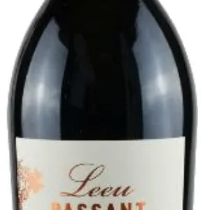 Leeu Passant Dry Red Wine Magnum 2016