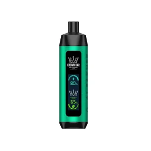 Mint Al Fakher Crown Bar 8000 Pro