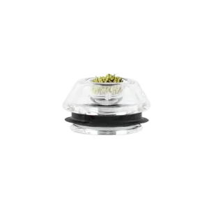 Proxy Flower Bowl