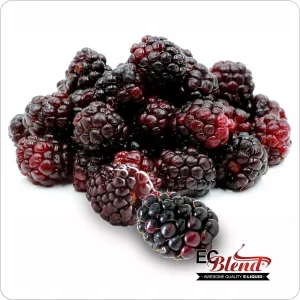 Boysenberry (E-Liquid TFE)