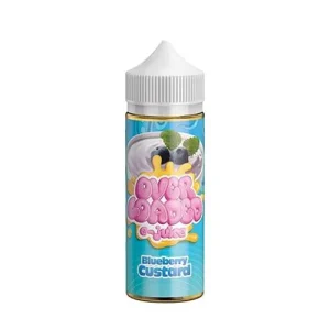 Blueberry Custard by Overloaded E-Juice 120ml - Ejuice Store