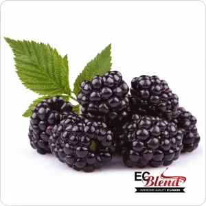 Blackberry (E-Liquid TFE)