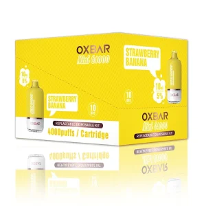 OXBAR Mini C4000 Disposable Kit Pre-Filled Pod Starter Kit 10ml 4000puffs ElfBar LOWIT (10-PACK)