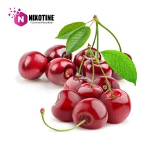 Wild Cherry Nixotine (Flavored Nixodine) About Nixotine - Flavored Nixodine®     Browse Nixotine® Flavors 🔎︎   Replacement Coils   Vaporizors   Batteries