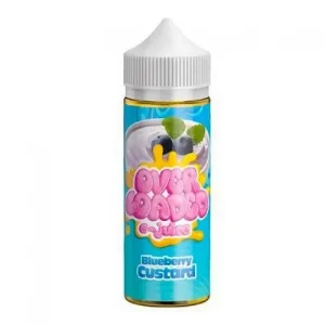 Loaded Blueberry Custard 100ml Shortfill