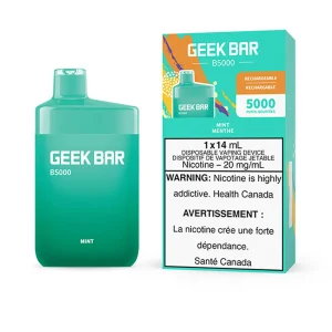 Mint Geek Bar B5000 – Disposable Vape
