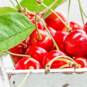 Wild Cherry Flavor Concentrate