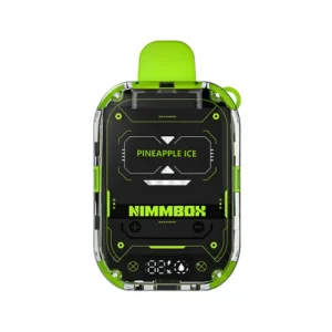 Nimmbox Disposable Starter Kit 10000 Puffs