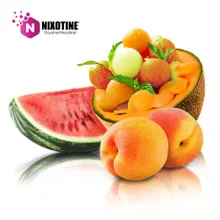 Peach Watermelon Cantaloupe Nixotine (Flavored Nixodine) About Nixotine - Flavored Nixodine® Browse Nixotine® Flavors 🔎︎ Replacement Coils Vaporizors Batteries