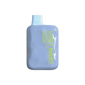 Blueberry Ice Lost Mary OS5000