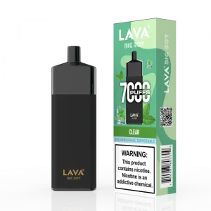 Lava Big Boy Disposable | 7000 Puffs