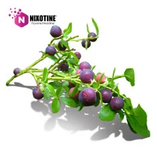 Wild Huckleberry Nixotine (Flavored Nixodine) About Nixotine - Flavored Nixodine®     Browse Nixotine® Flavors 🔎︎   Replacement Coils   Vaporizors   Batteries