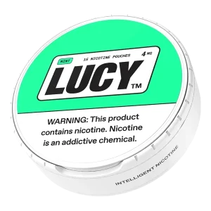 Mint LUCY Pouches