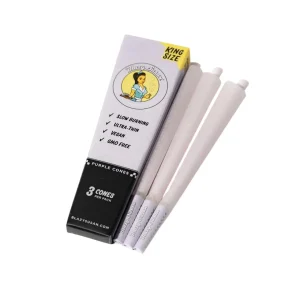 Blazy Susan Purple Cones -(Pack of 1)