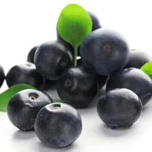 Acai Berry Flavor Concentrate