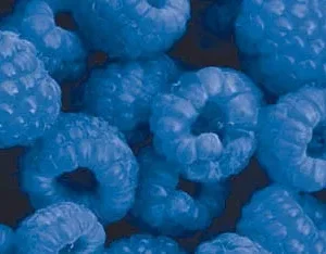 Blue Raspberry TFA