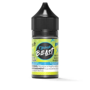Blessed Blueberry Mint Iced SALT – Flavour Beast Salt E-Liquid