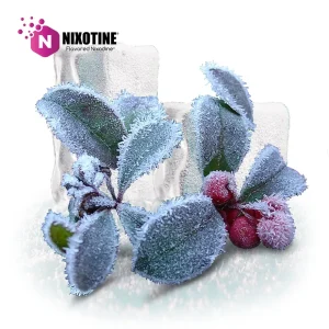 Wintergreen Nixotine (Flavored Nixodine)