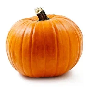 Pumpkin TFA