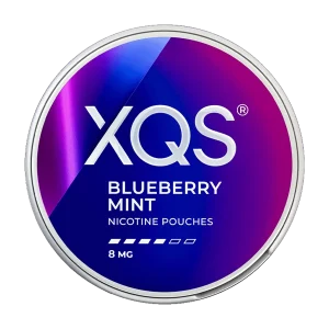 Blueberry Mint XQS Nicotine Pouches