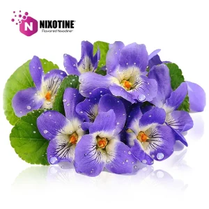 Violet Nixotine (Flavored Nixodine)