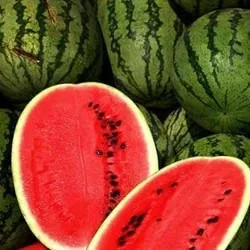 Watermelon TFA