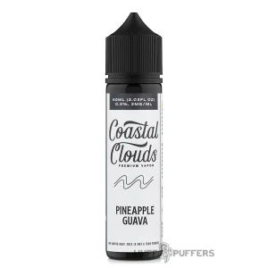 Coastal Clouds – Pineapple Guava 60mL