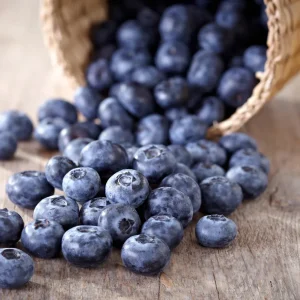 Blueberry Flavor Concentrate