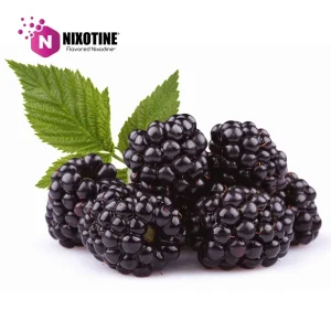 Blackberry Nixotine (Flavored Nixodine)