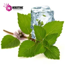 Spearmint Nixotine (Flavored Nixodine) About Nixotine - Flavored Nixodine® Browse Nixotine® Flavors 🔎︎ Replacement Coils Vaporizors Batteries