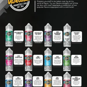 Vapetasia E-Liquid 100ml