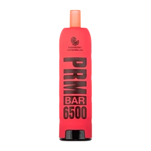 Raspberry Watermelon PRM Bar 6500