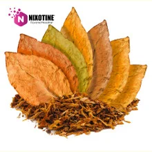 7 Leaf RED Tobacco Nixotine (Flavored Nixodine) About Nixotine - Flavored Nixodine®     Browse Nixotine® Flavors 🔎︎   Replacement Coils   Vaporizors   Batteries