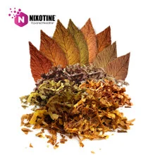 8 Leaf Tobacco Blend Nixotine (Flavored Nixodine) About Nixotine - Flavored Nixodine®     Browse Nixotine® Flavors 🔎︎   Replacement Coils   Vaporizors   Batteries