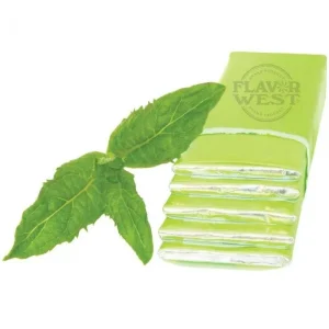 Stick Gum (2x Mint) FW