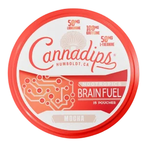 Mocha CANNADIPS Brain Fuel Pouches