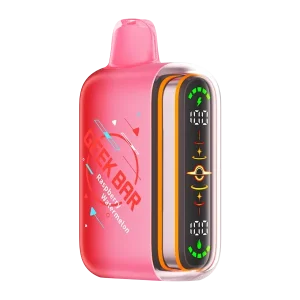 Raspberry Watermelon GEEK BAR Pulse 2 25K