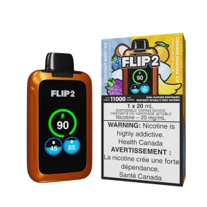 Coconut Berry Ice and Orange Banana Ice Flip 2 – Disposable Vape