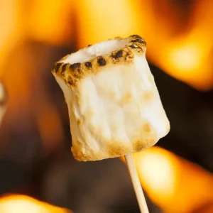 Toasted Marshmallow Flavor Concentrate