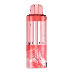 Raspberry Watermelon Foger Switch Pro Disposable