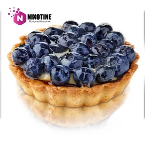 Blueberry Pastry Nixotine (Flavored Nixodine)