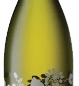 Protea Chardonnay 2025