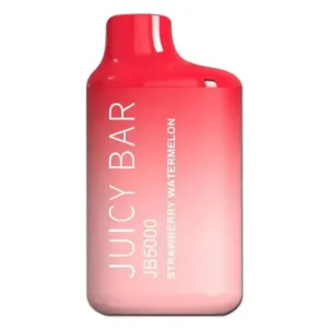 Strawberry Watermelon - Juicy Bar JB5000 Disposable